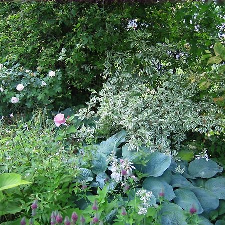 Il Giardino Dell'Artemisia Villa Pila  Luaran gambar