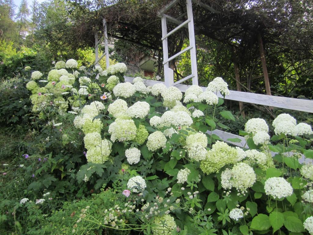 Il Giardino Dell'Artemisia Villa Pila  Luaran gambar