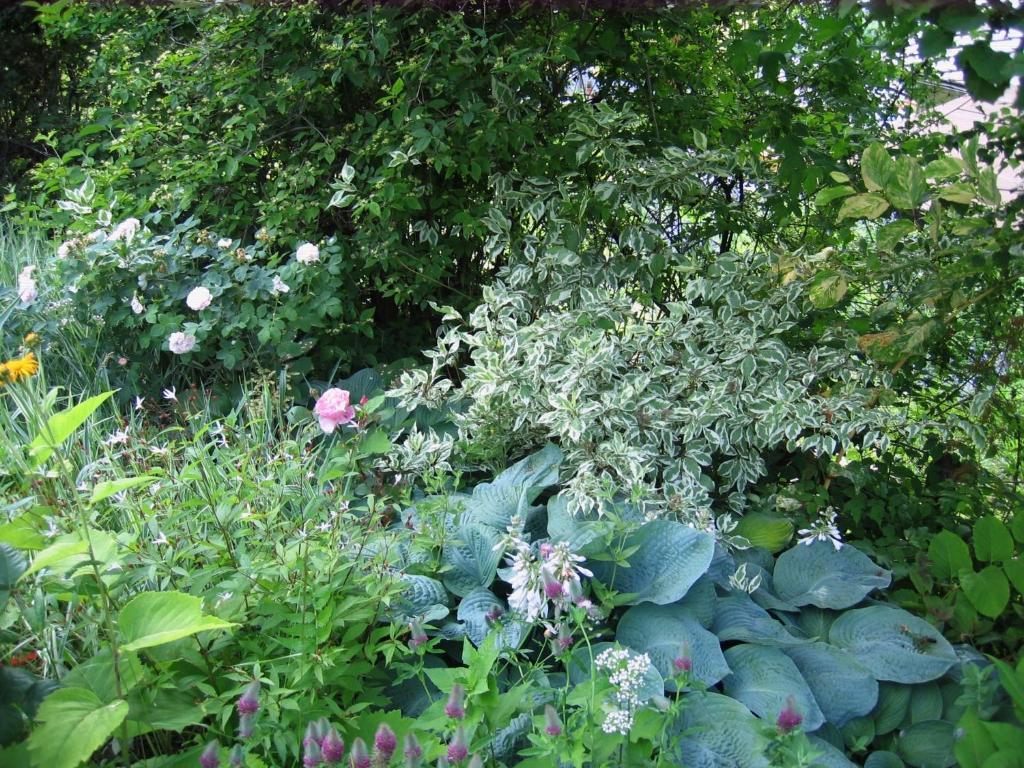 Il Giardino Dell'Artemisia Villa Pila  Luaran gambar