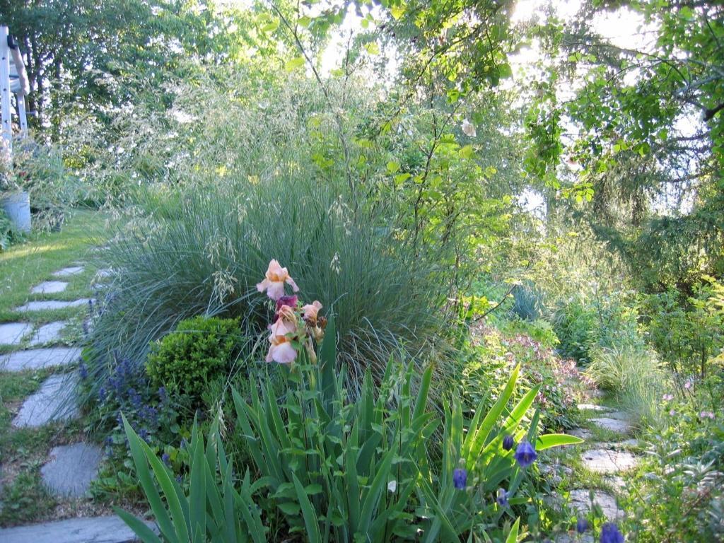 Il Giardino Dell'Artemisia Villa Pila  Luaran gambar