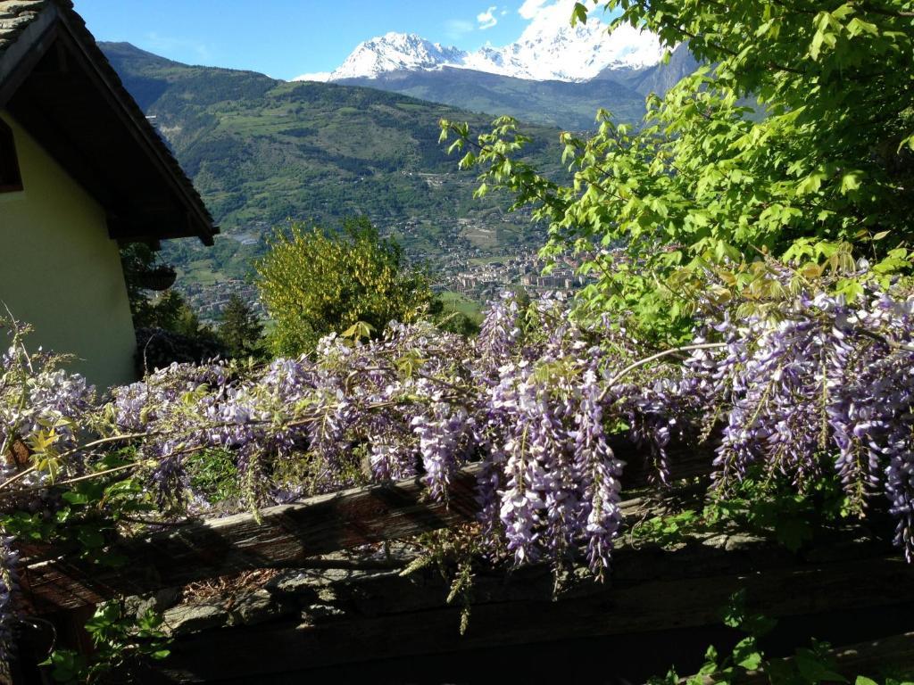 Il Giardino Dell'Artemisia Villa Pila  Luaran gambar