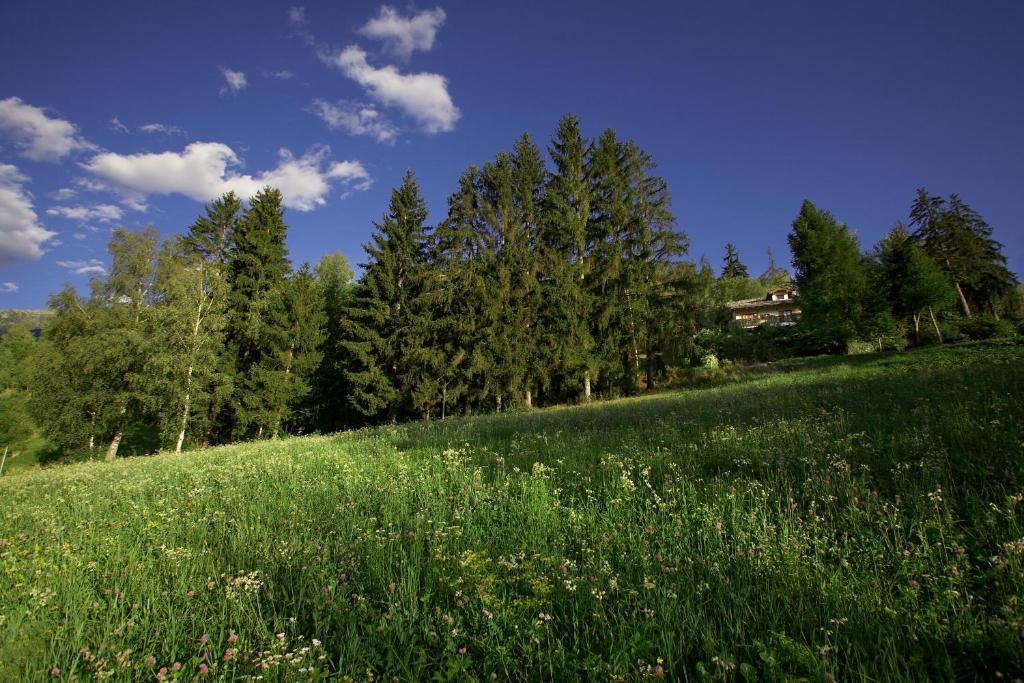 Il Giardino Dell'Artemisia Villa Pila  Luaran gambar